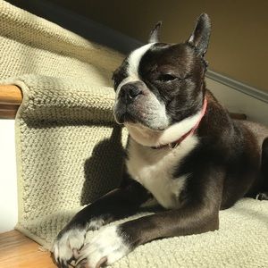 Meet your Posher, Emily